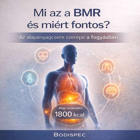 Mi az a BMR és miért fontos a fogyásnál? – Alapanyagcsere érthetően